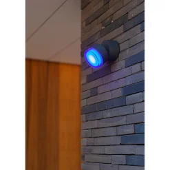 Applique da parete da esterno Dropsi Smart Home 9,5 W 690 lm CCT RGB antracite