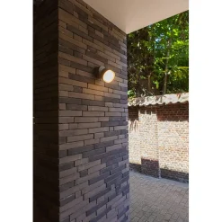 Applique da parete da esterno Dropsi Smart Home 9,5 W 690 lm CCT RGB antracite