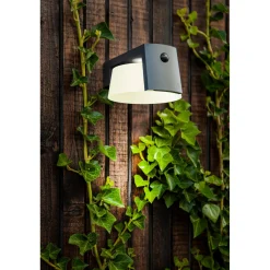 Applique solare da esterno LED Lutec Moon 7,4W 650lm 4000 K 9,6x16x21,7 cm