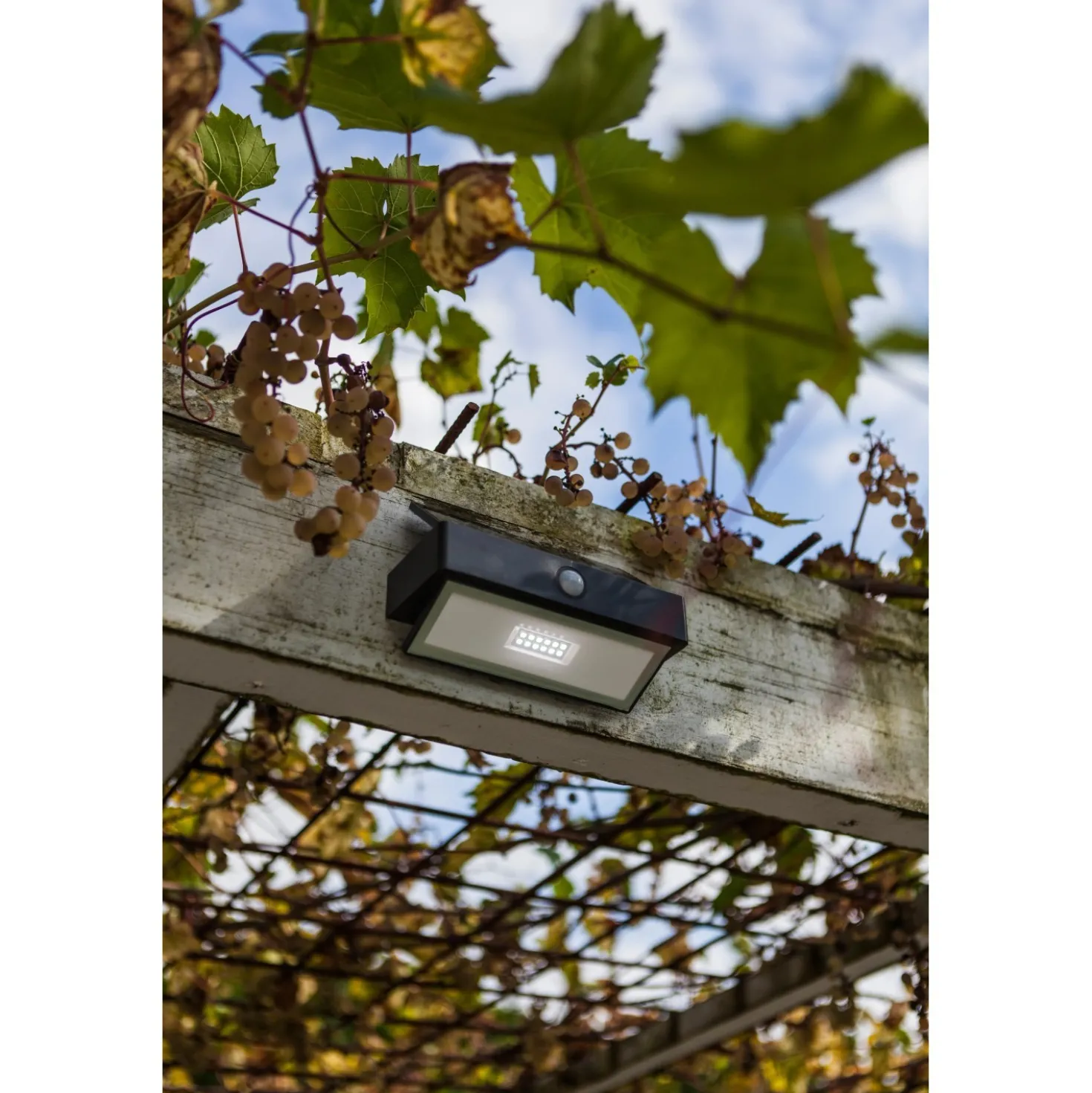 Applique solare Lutec Arrow con sensore