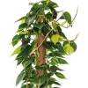 Bastone muschiato 60 cm Ø 32 mm