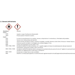 Bioetanolo Domestix Qlima 2 l