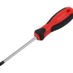 Cacciavite PZ2 x 100 mm