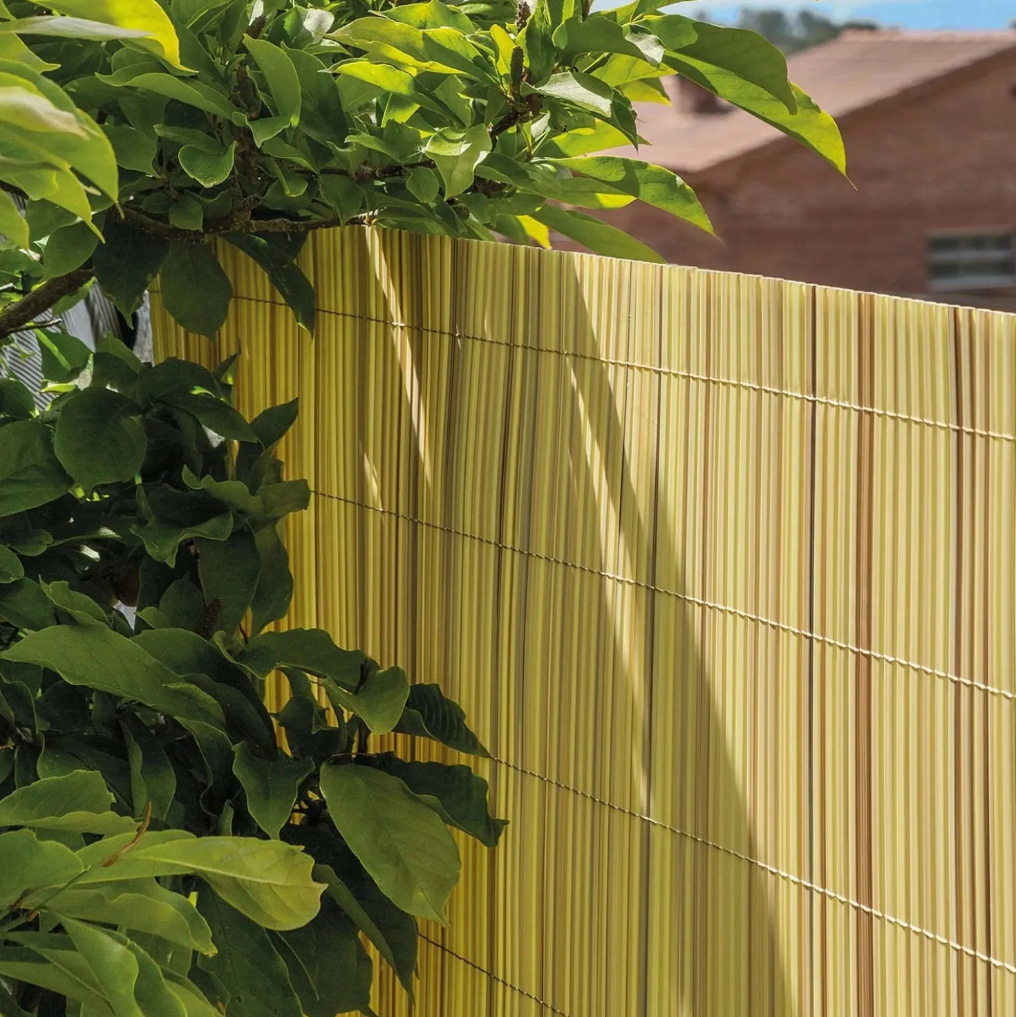 Canniccio sintetico in PVC Tenax Colorado H 1,5 x L 5 m beige