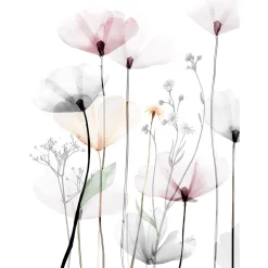 Canvas stampato immagine papaveri 1 dimensioni 60x80 cm