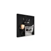 Canvas 30x30 cm black cat