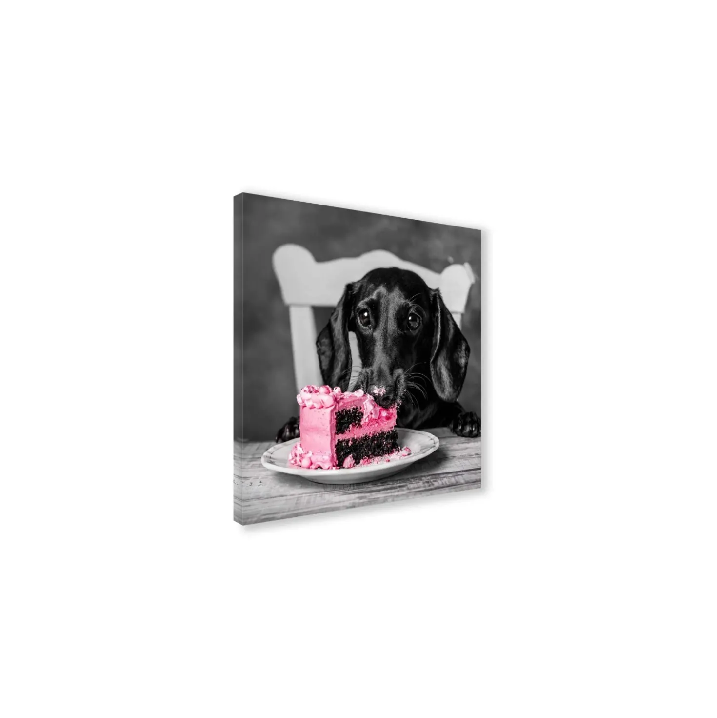 Canvas 30x30 cm dachshund