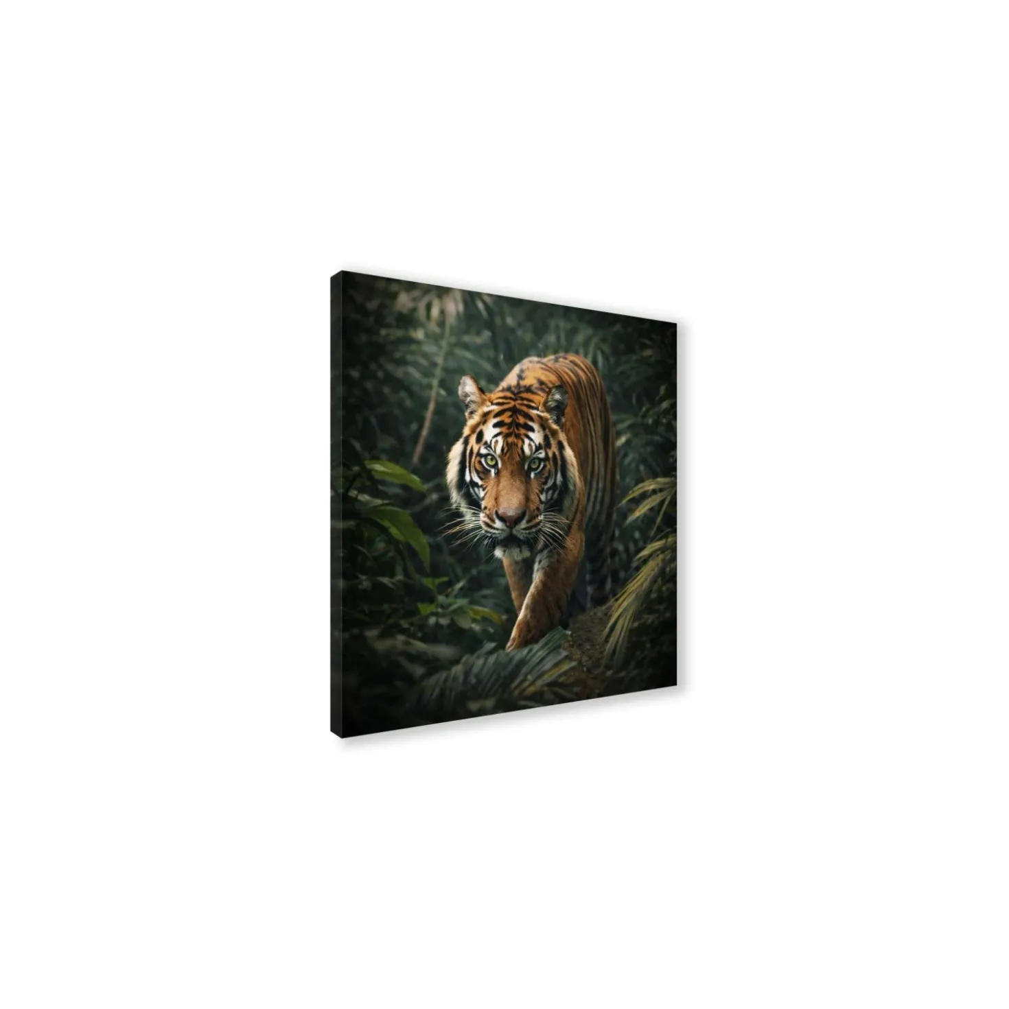 Canvas 30x30 cm set animali - tigre