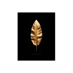 Canvas 30x40 cm set oro - banano