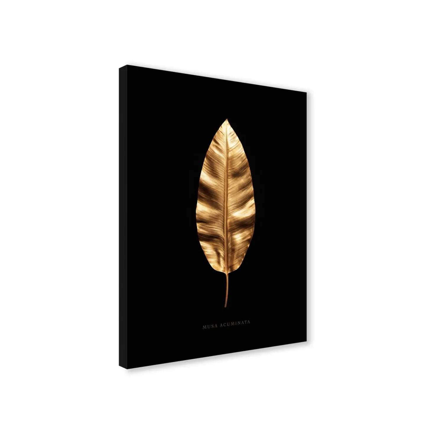 Canvas 30x40 cm set oro - banano