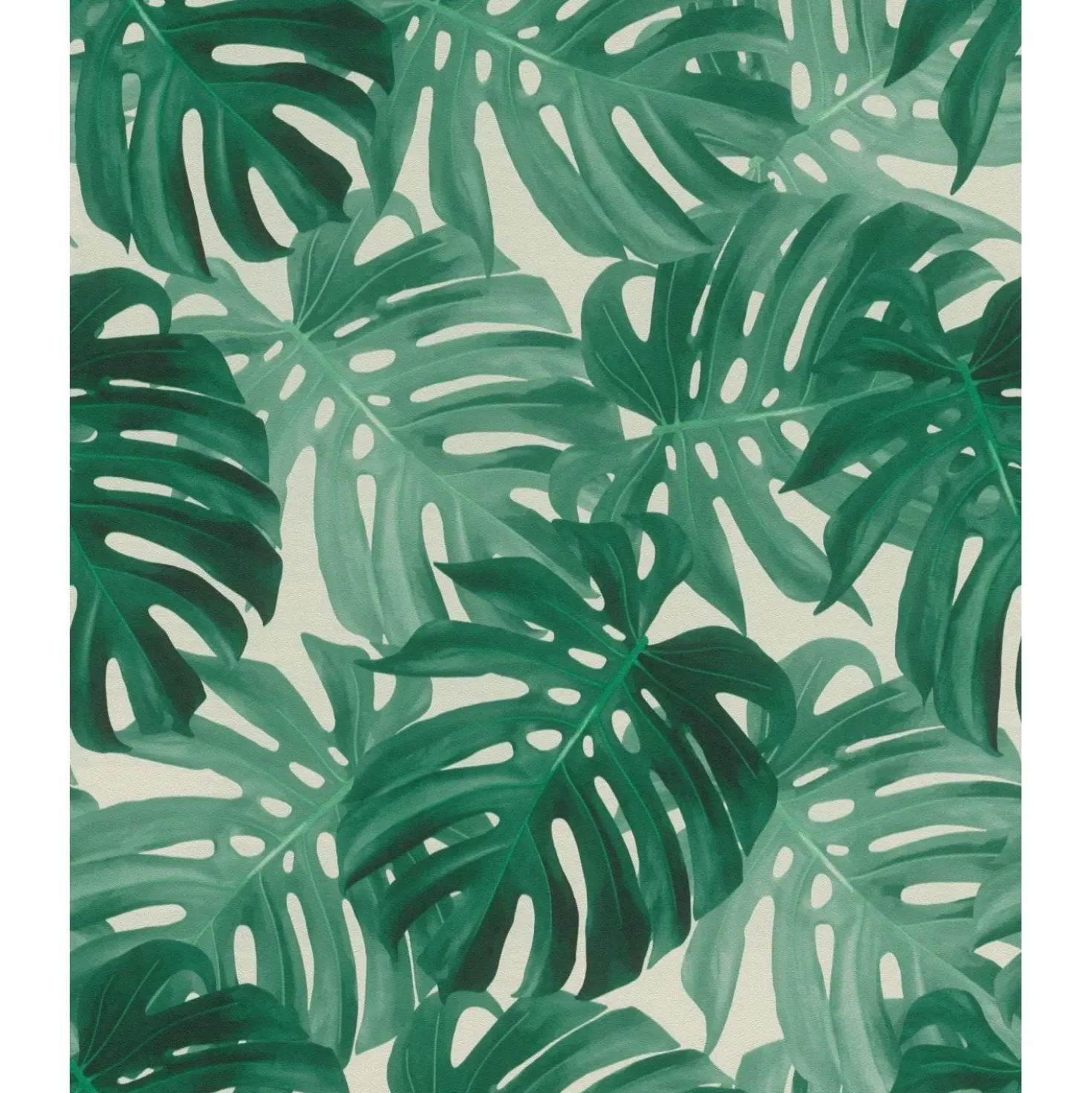 Carta da parati decorativa foglie monstera