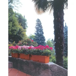 Cassetta Itaca con sottocassetta 40x20x17 cm in plastica terracotta