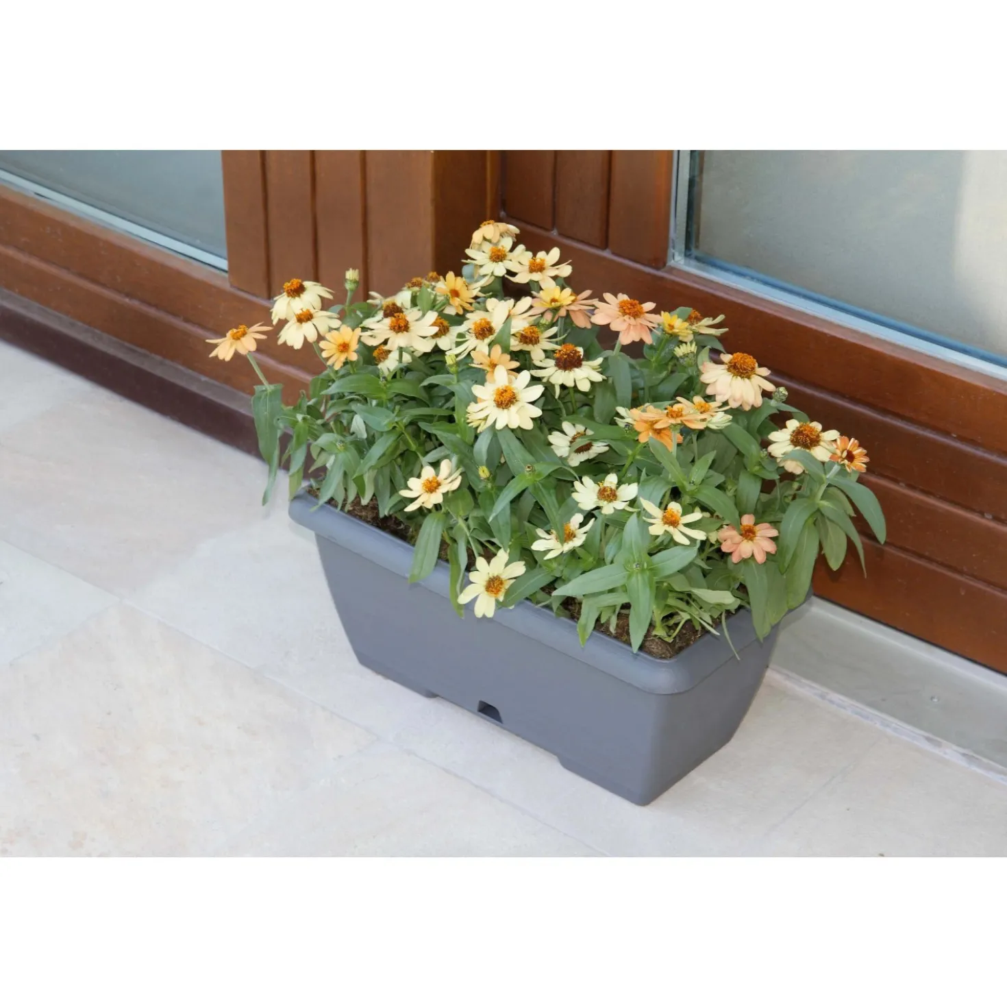 Cassetta Terrae con sottocassetta in plastica 50x20x16,7 cm grigio fumo