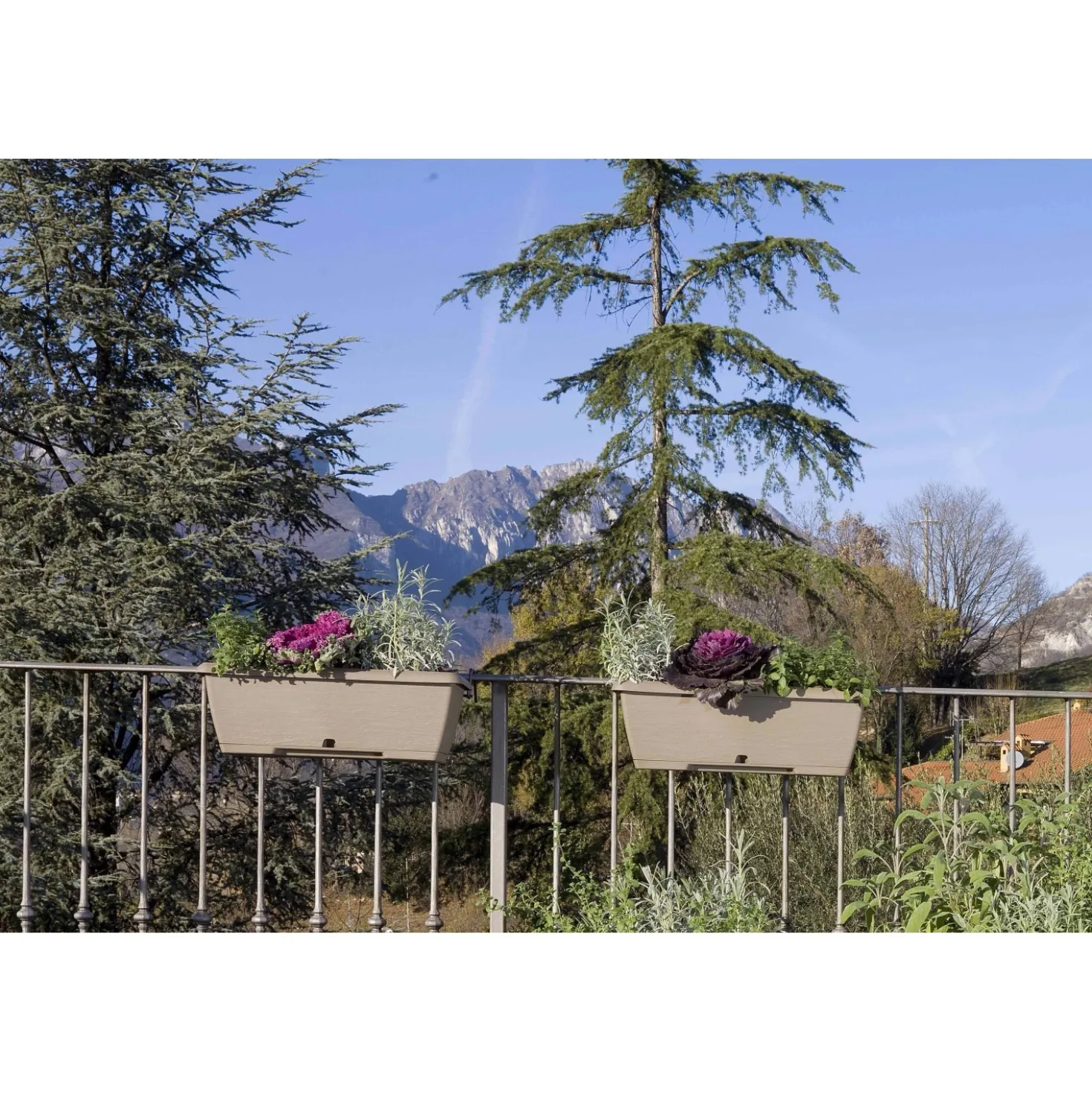 Cassetta Terrae con sottocassetta in plastica 50x20x16,7 cm beige scuro
