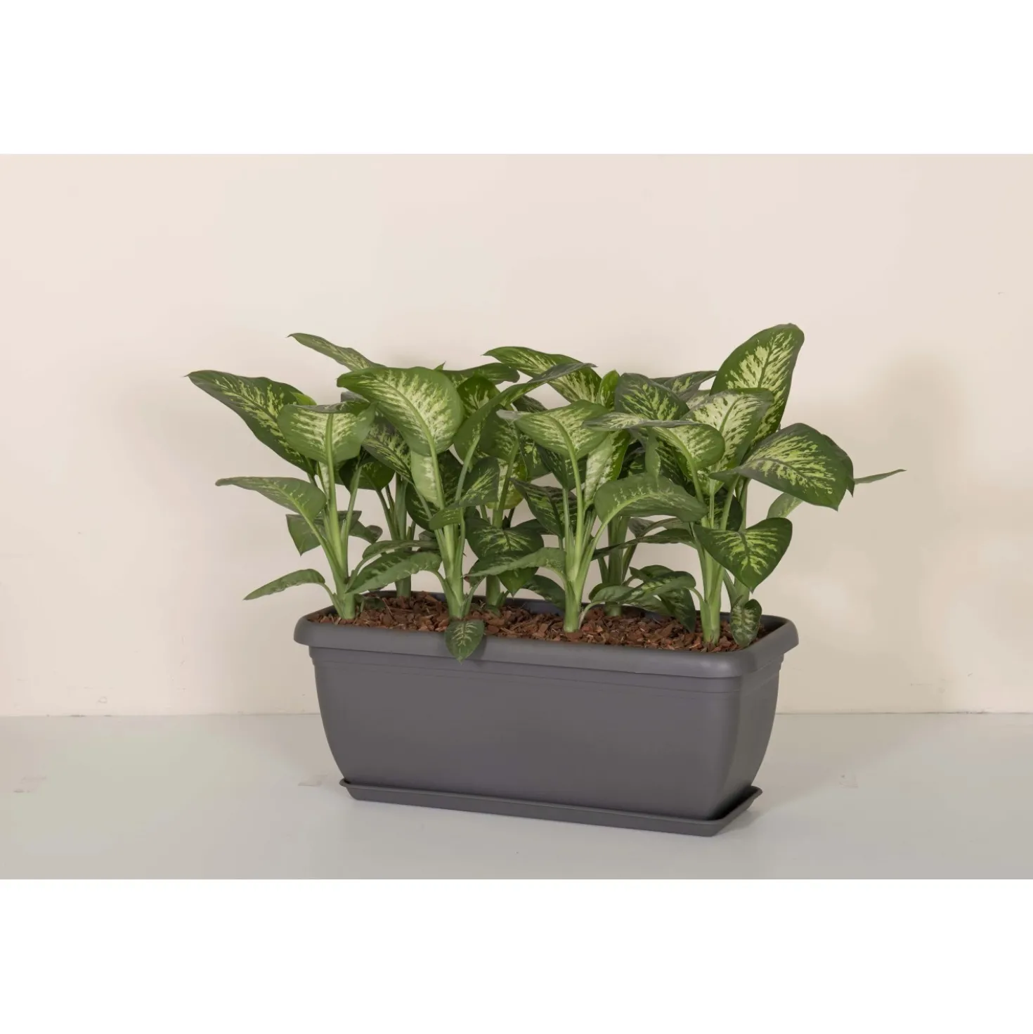 Cassetta Unica in plastica 50x20x16,4 cm Grigio Fumo Light
