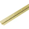 Cerniera a barra Hettich 1200 mm x 20 mm acciaio ottonato