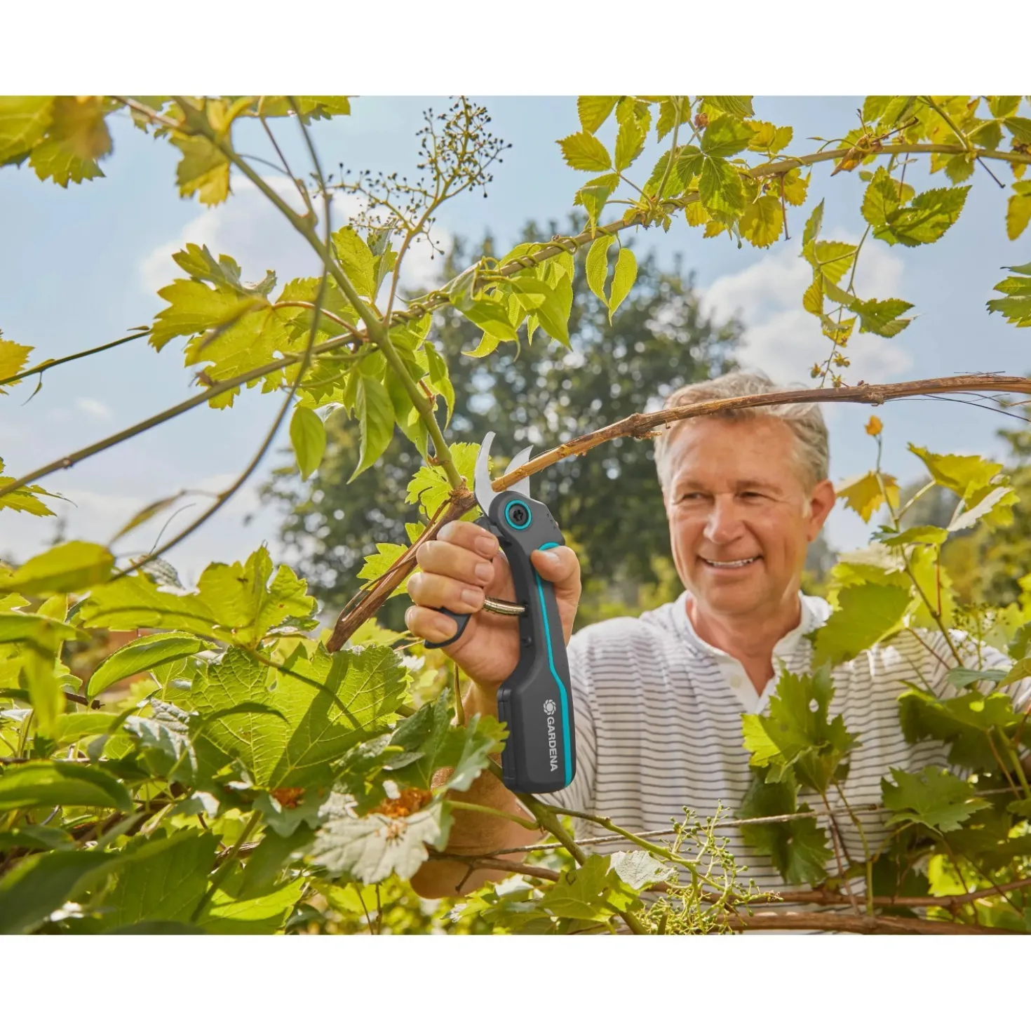 Cesoie da giardino Gardena Assistcut a batteria
