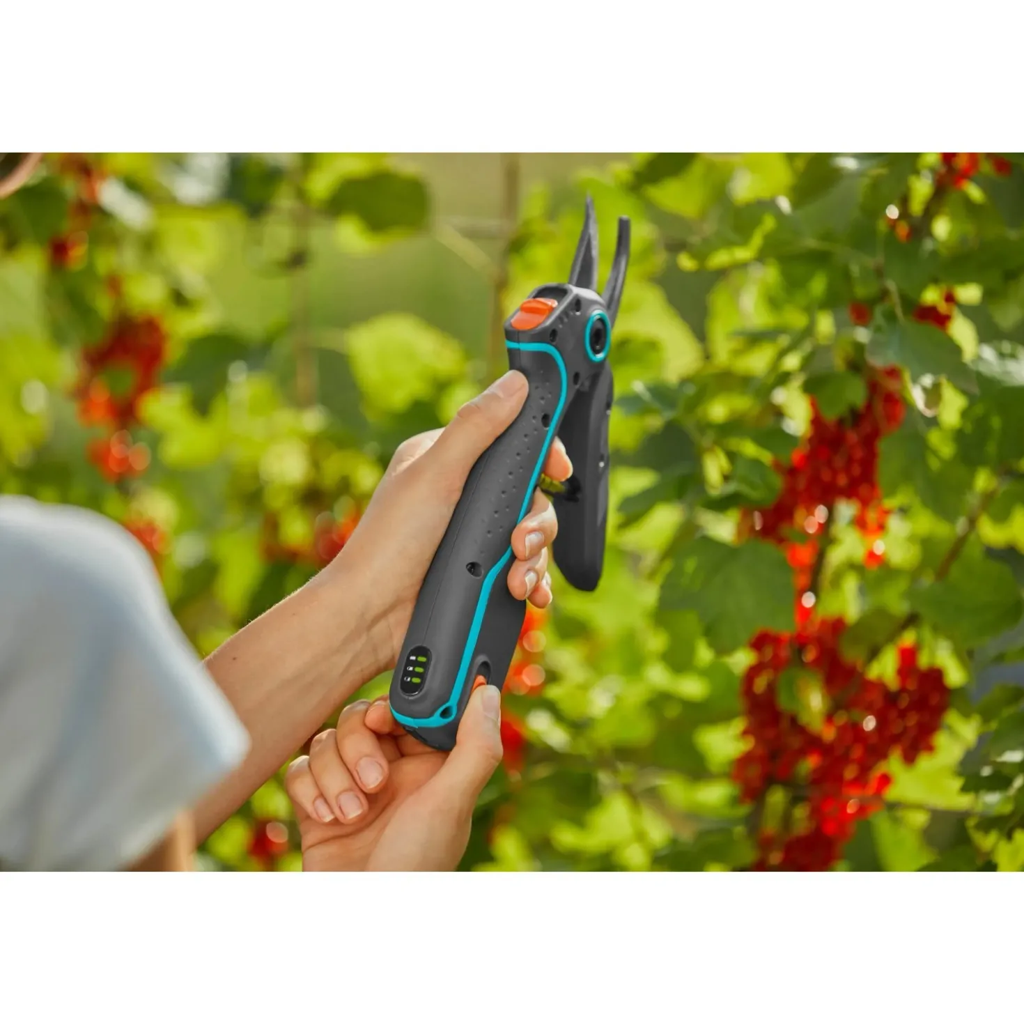 Cesoie da giardino Gardena Assistcut a batteria