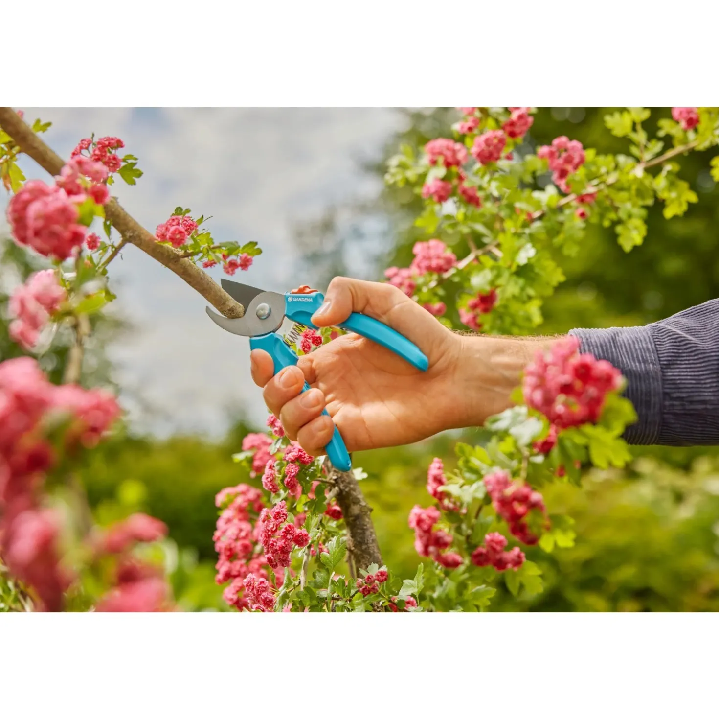 Cesoie da giardino Gardena EasyCut sp. di taglio 20 mm