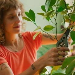 Cesoie per potatura piante e fiori con supporto Fiskars verde