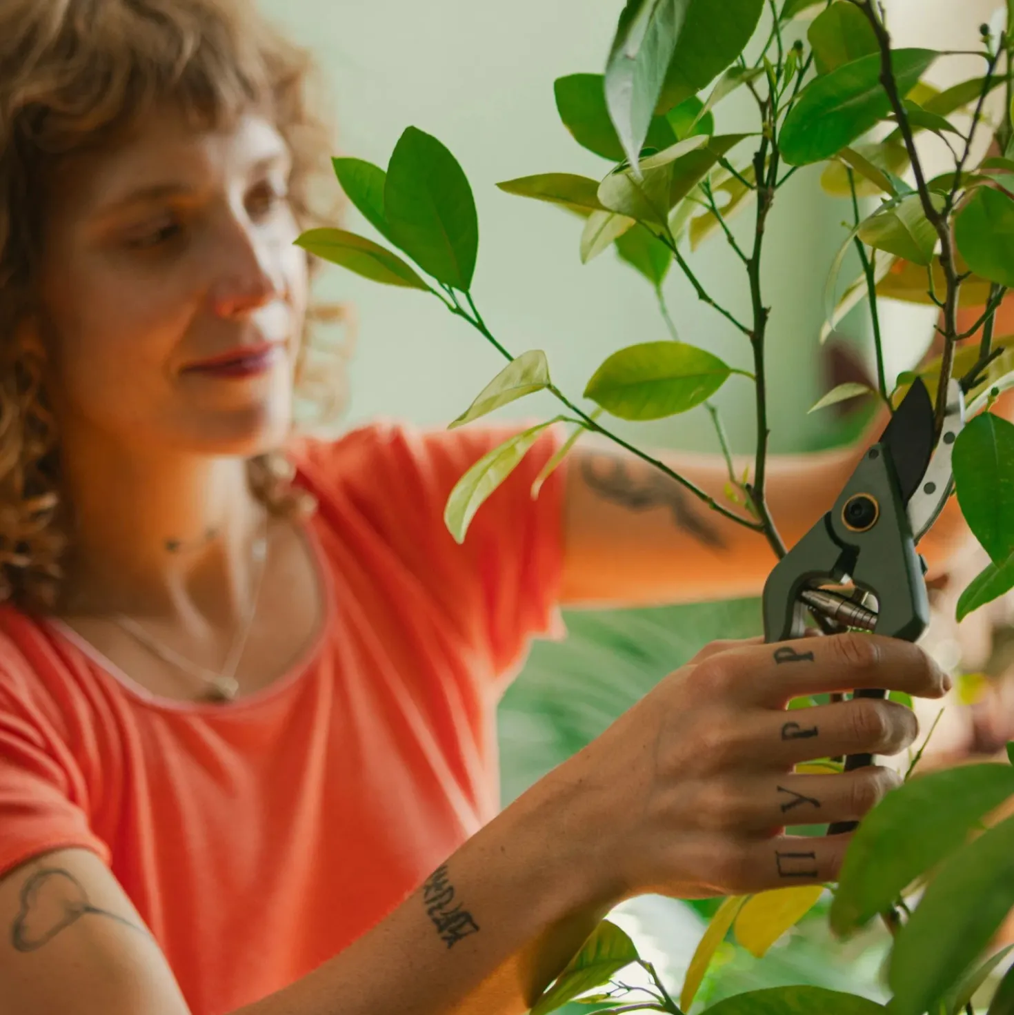 Cesoie per potatura piante e fiori con supporto Fiskars verde