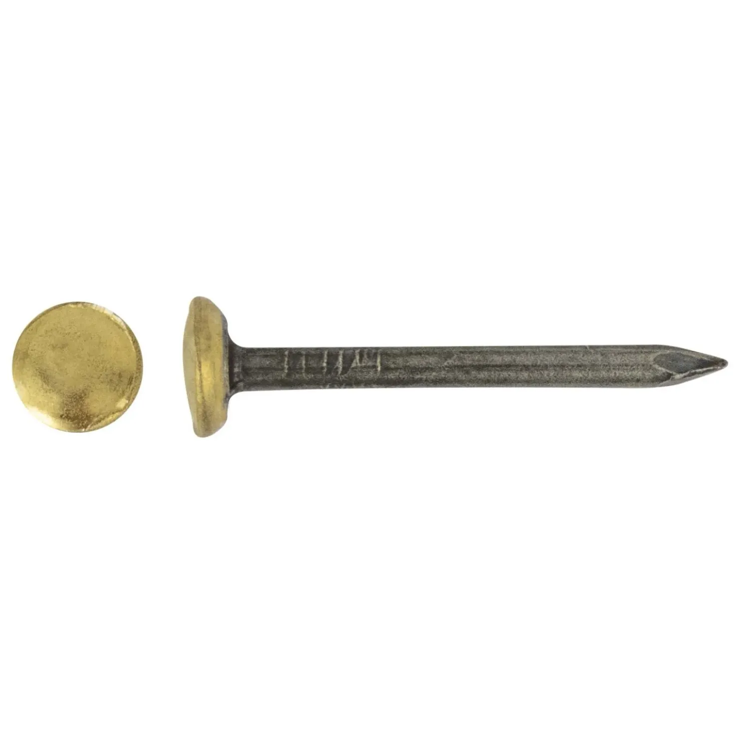 Chiodo acciaio testa bombata in ottone blu temperato 2x40 mm 12 pz