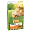 Cibo secco per cani Friskies DD Balance Adult 9 kg
