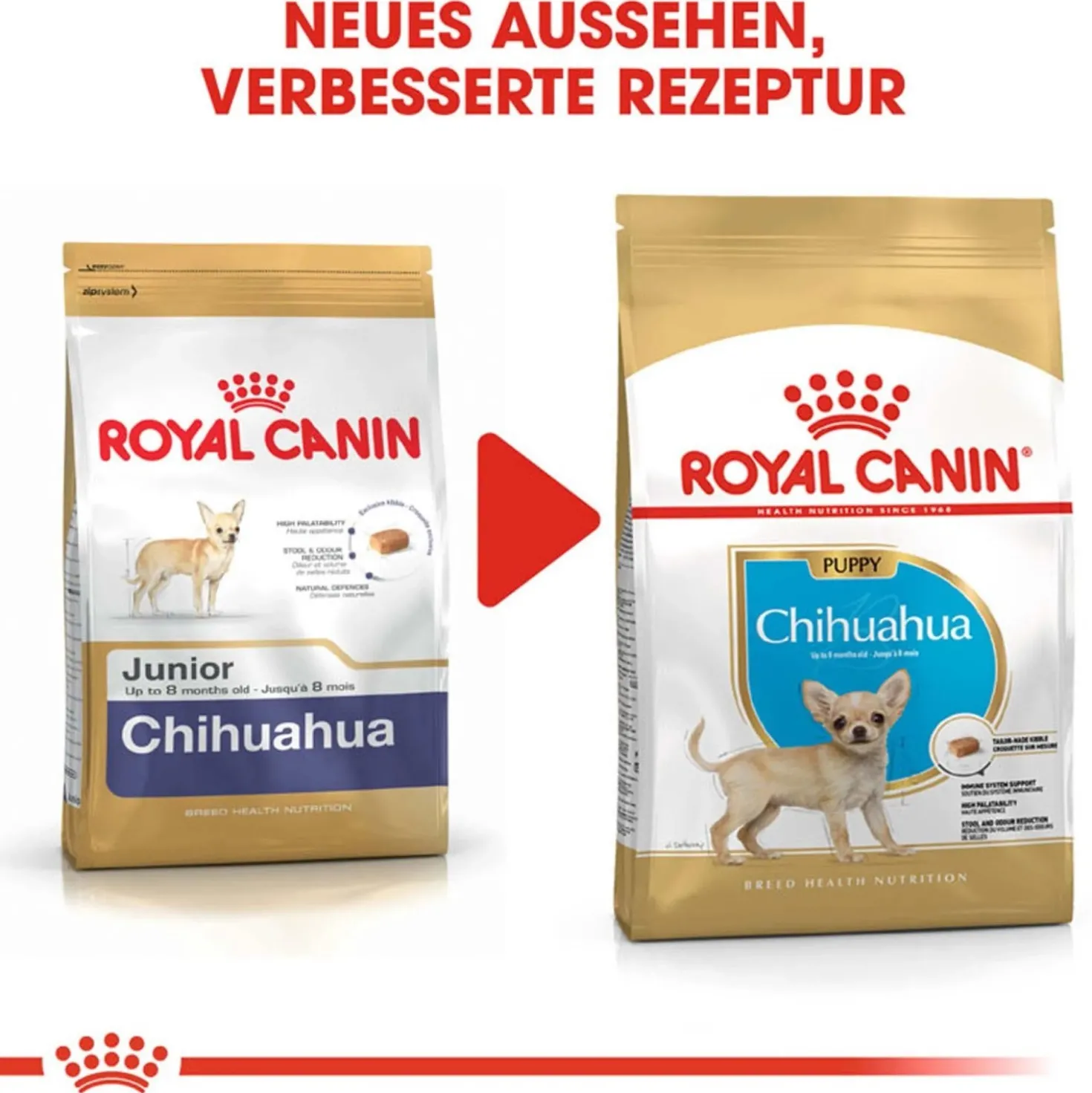 Cibo secco per cani Royal Canin Chihuahua Puppy 1,5 kg