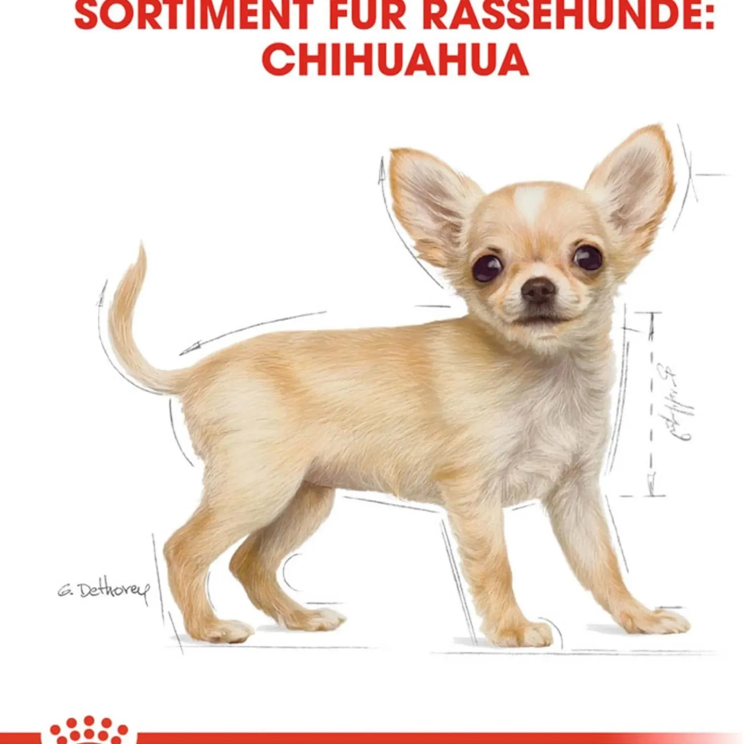 Cibo secco per cani Royal Canin Chihuahua Puppy 1,5 kg