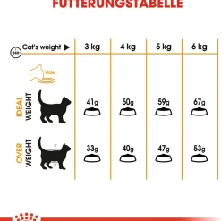 Cibo secco per gatti Royal Canin Hair & Skin Care 400 g