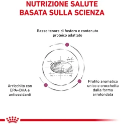 Cibo secco per gatti Royal Canin Renal 2 kg