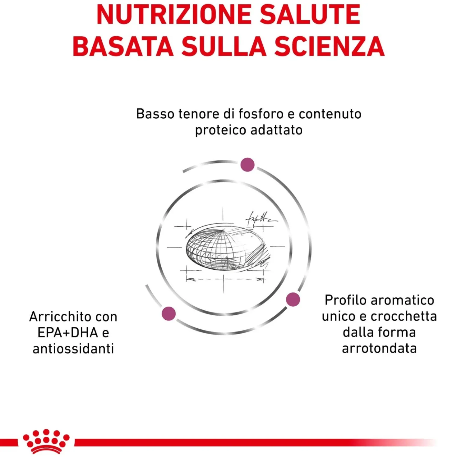 Cibo secco per gatti Royal Canin Renal 2 kg