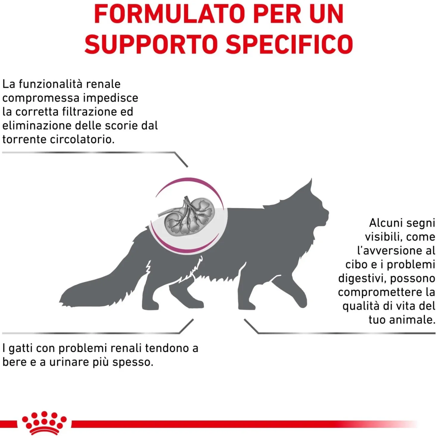 Cibo secco per gatti Royal Canin Renal 2 kg