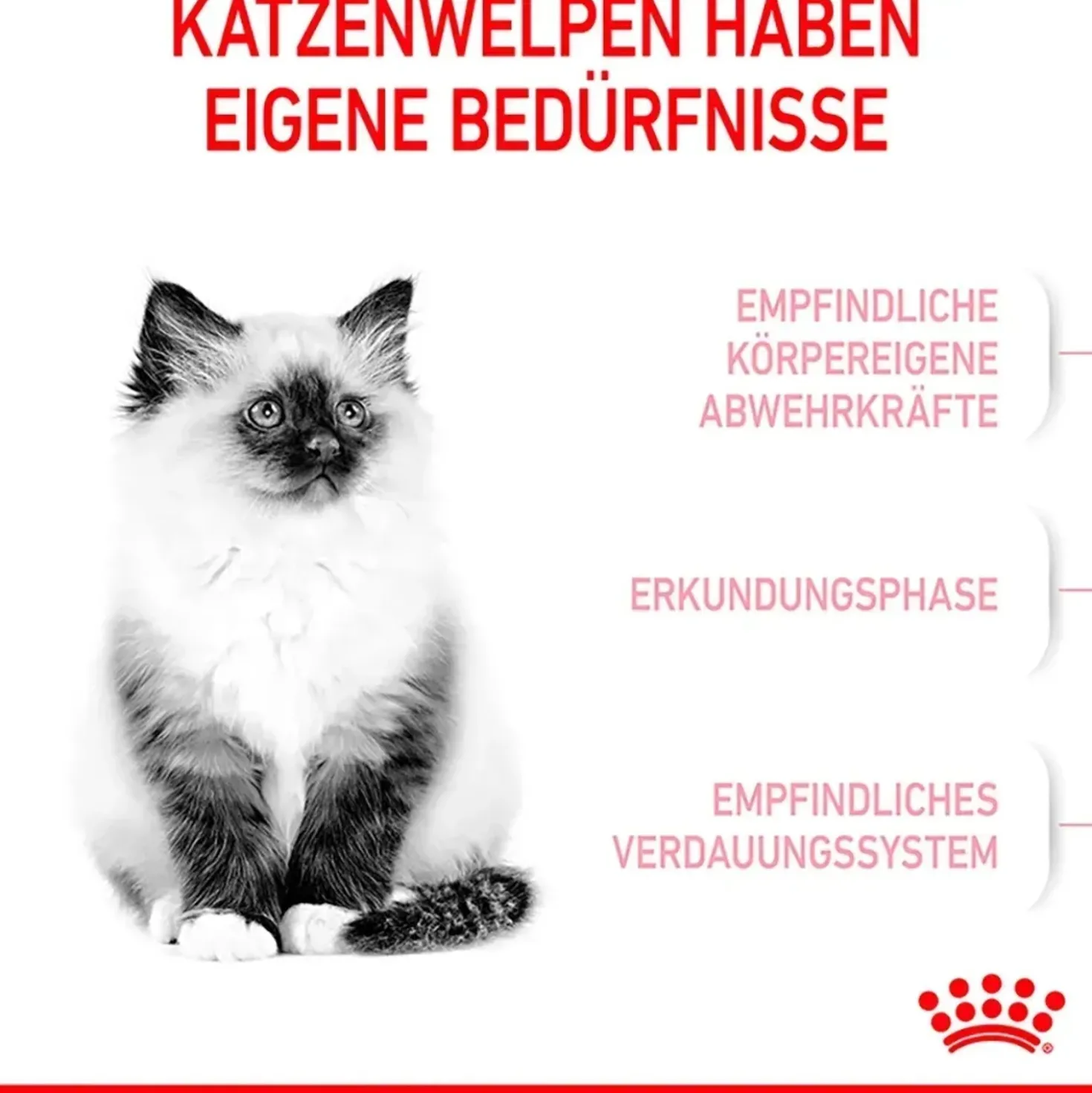 Cibo secco per gatti Royal Canin Kitten 2 kg
