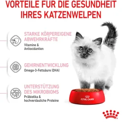 Cibo secco per gatti Royal Canin Kitten 2 kg