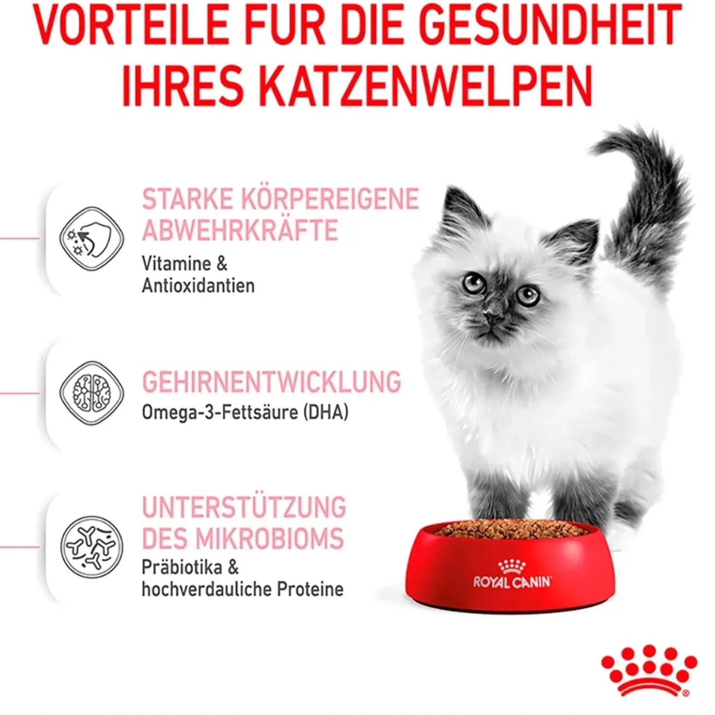 Cibo secco per gatti Royal Canin Kitten 2 kg