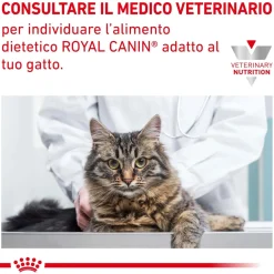 Cibo secco per gatti Royal Canin Hypoallergenic 2,5 kg