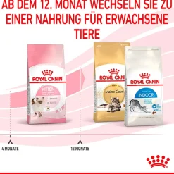 Cibo secco per gatti Royal Canin Kitten 400 gr