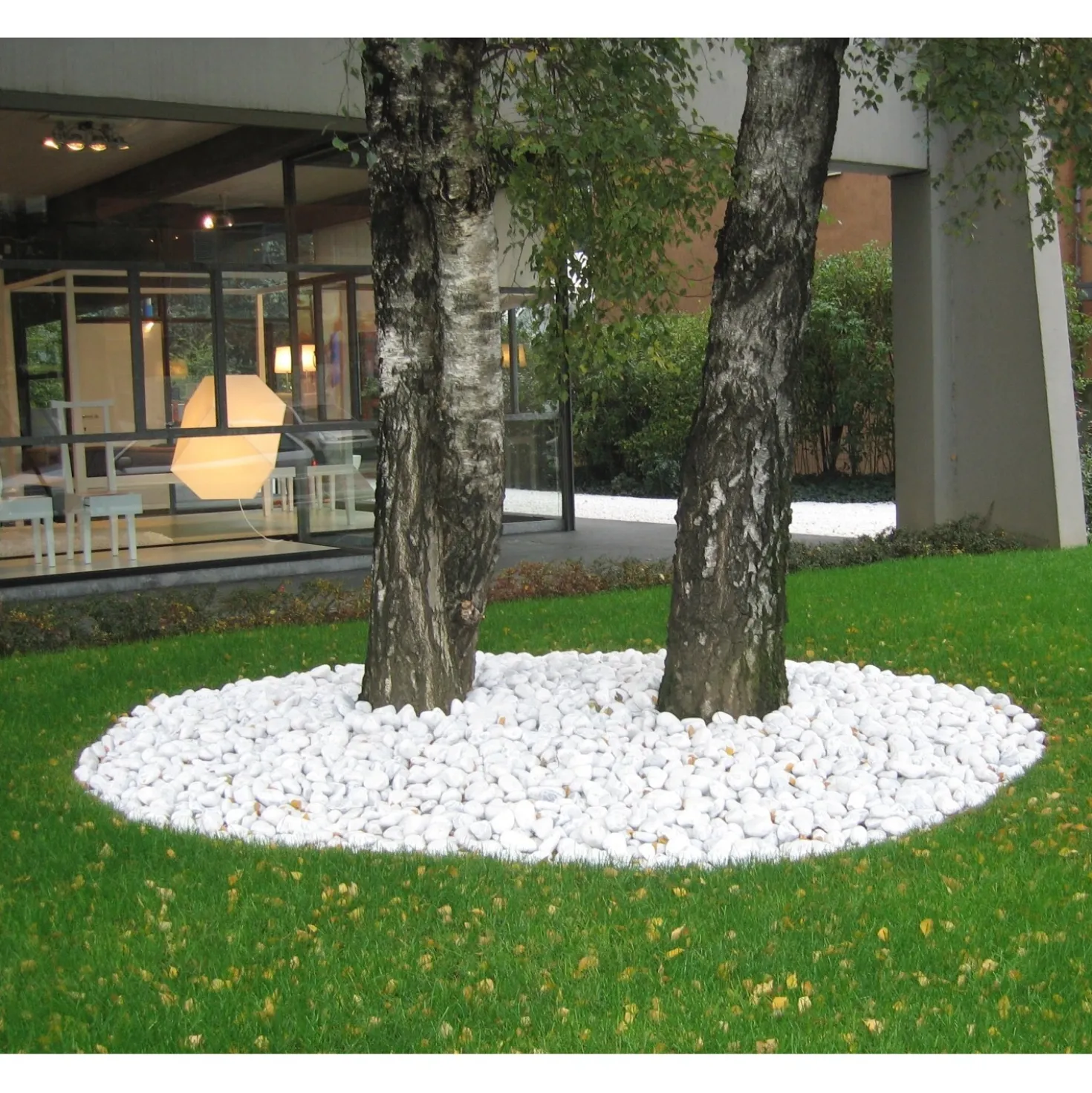Ciottolo bianco Carrara 40-60 mm 20 kg