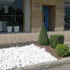 Ciottolo bianco Carrara 25-40 mm 1 kg