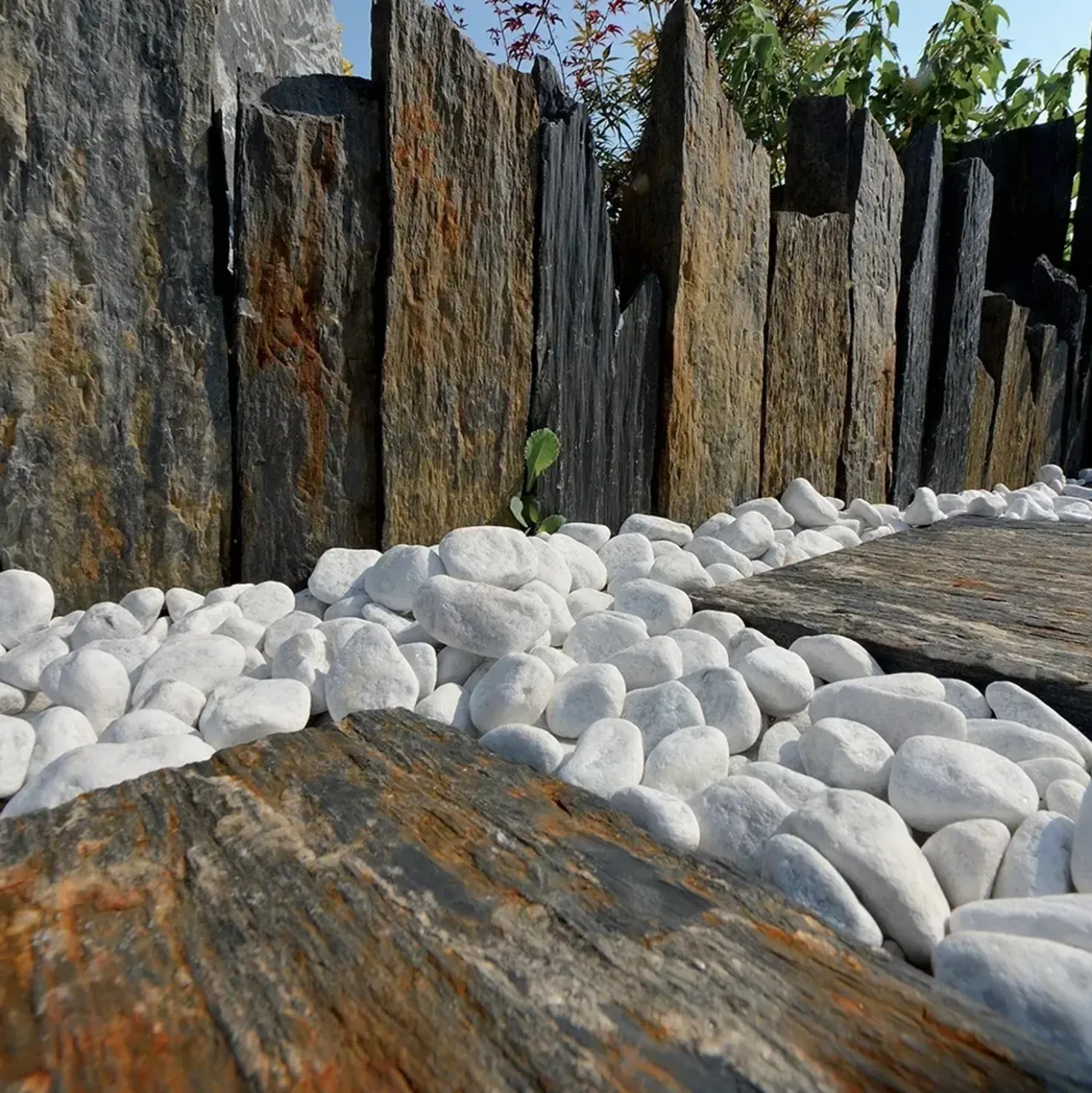 Ciottolo bianco Carrara 25-40 mm 1 kg