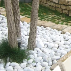 Ciottolo bianco Carrara 25-40 mm 1 kg