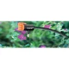 Claber gocciolatore fine linea 0-6 l/h 10 pz
