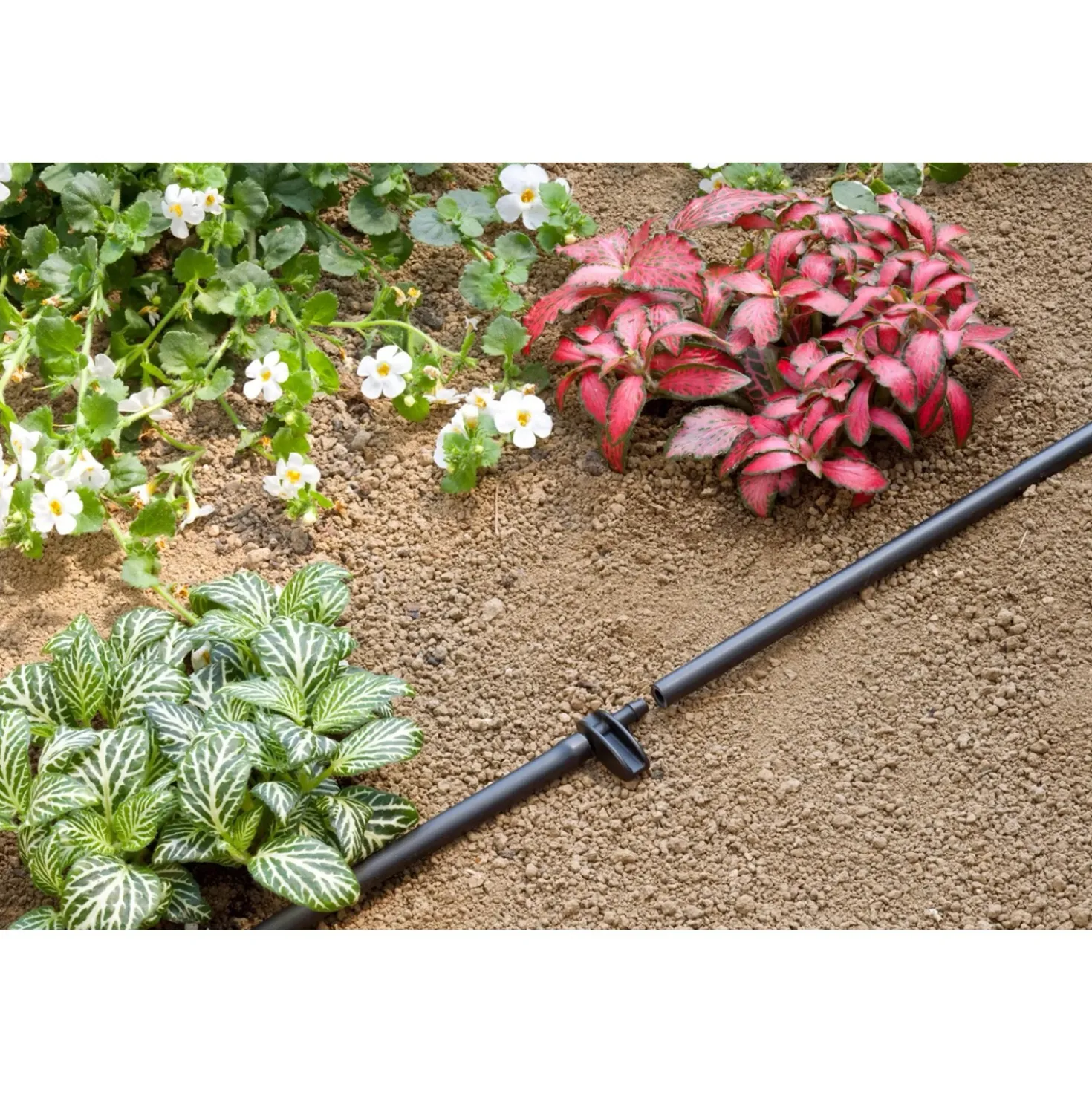 Claber raccordo a due vie Ø 1/4" (4-6 mm) 10 pz