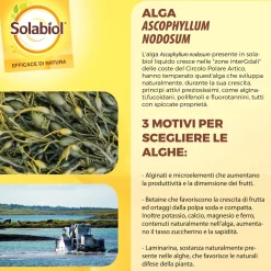 Concime universale biologico Algasan Solabiol 1 l