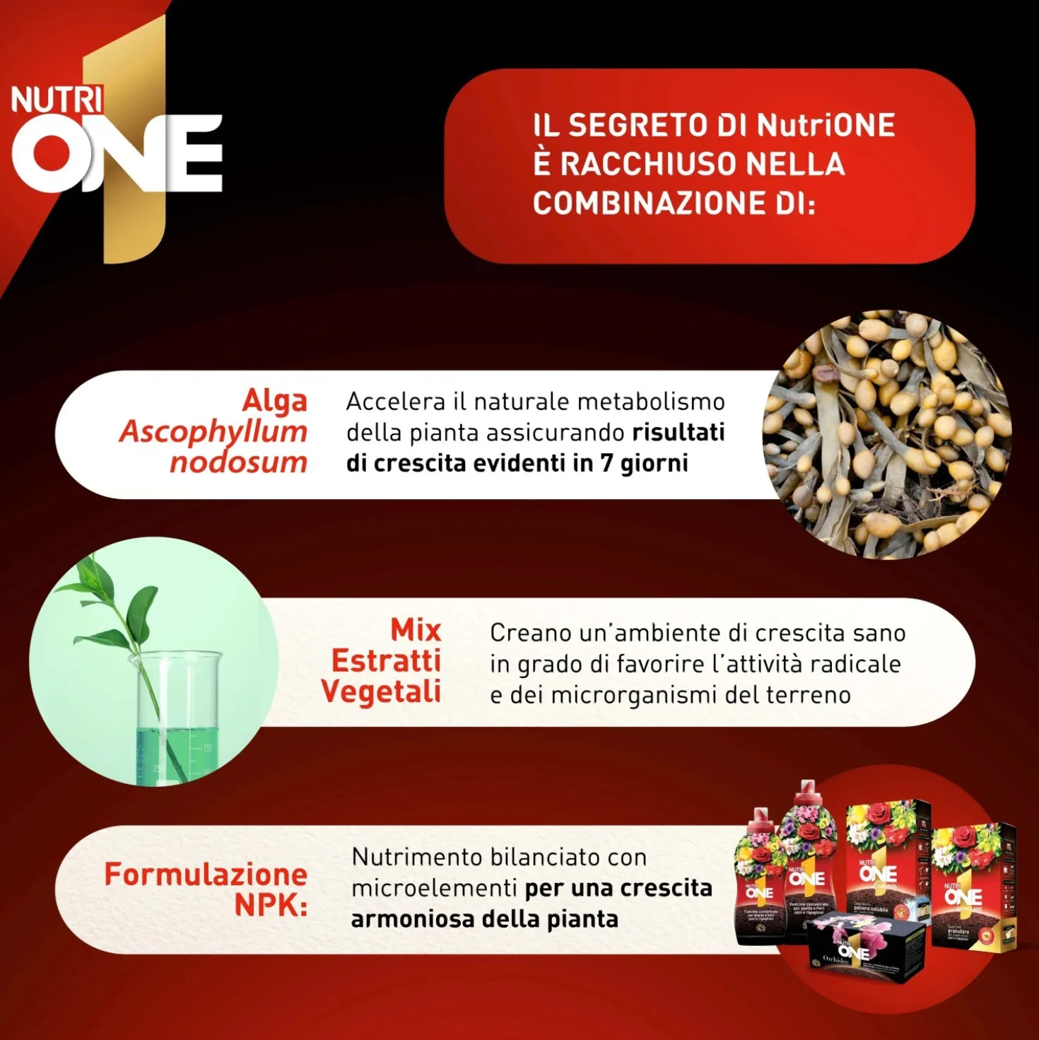 Concime universale NutriONE 1 l