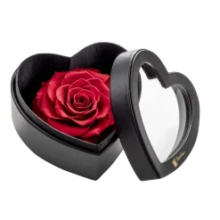 Confezione regalo cuore nero rosa in vaso 12,5 cm