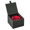 Confezione regalo rosa nera con vaso 8,5 cm
