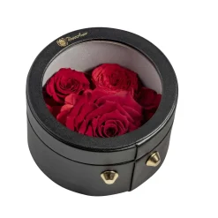 Confezione regalo rotonda nera con rosa x3 vaso 12,5 cm