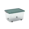 Contenitore W Box L 50 l Trasparente/Verde Acqua 56,5x39x31,5H cm